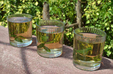 Three glasses of fresh, aromatic herbal tea with mint herbの写真素材