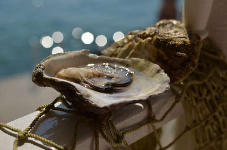 Just served oysters with sparkles on sea water in backgroundの写真素材