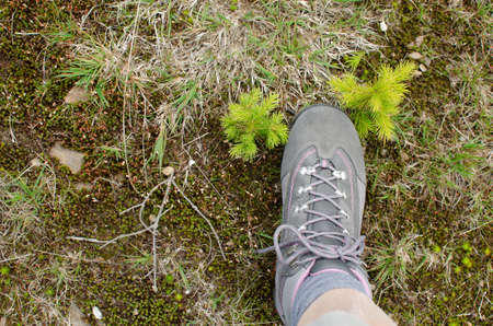 Leg in tracking shoe stepping on mountain field with wild flowers