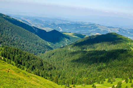Hills with coniferous forest of a mountain range - Kopaonik, Serbia.