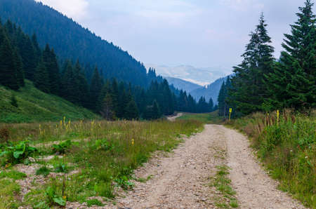 Path winding through hills in summer - Kopaonik, Serbiaの写真素材
