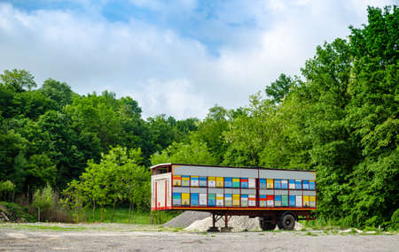 Bee hives left by the road in springtime (bees could be seen on the sky)