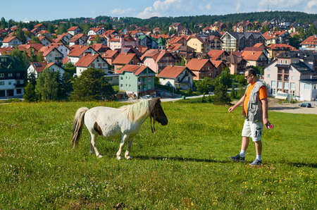 Man and horse in a countryside - with red roofs in backgroundの写真素材