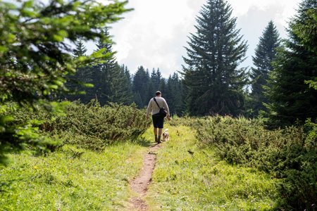 Man and dog in an idyllic landscape in summerの写真素材