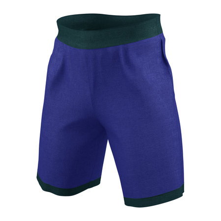 Make your logo design more real with this Left Side View Impressive Men's Training Shorts Mockup In Royal Blue Color.の写真素材