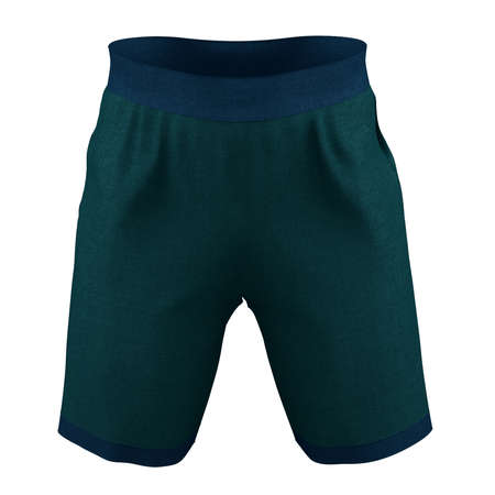 Pasting your graphic to this Front View Impressive Men's Training Shorts Mockup In Green Eden Color and everything will be done.の写真素材