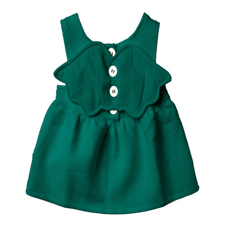 With this Back View Beauty Baby Dress Mockup In Alpine Green Color, your design will look more realistic and adorable.の写真素材