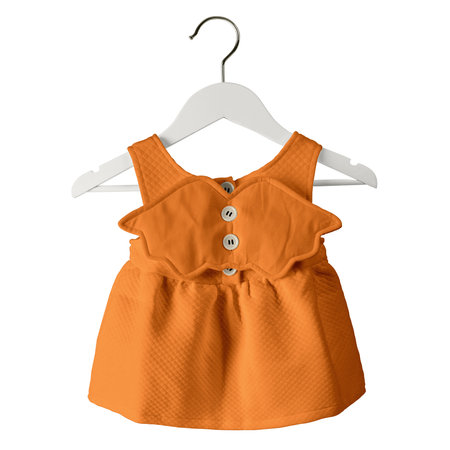 You can customize almost everything in this Back View Fresh Baby Dress Mockup In Iceland Poppy Color With Hanger, add your graphic as well as you wantの写真素材