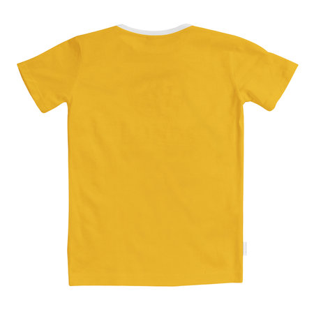 Use this Back View Perfect T Shirt Mockup In Flame Orange Color, to get more wonderful design products.の写真素材