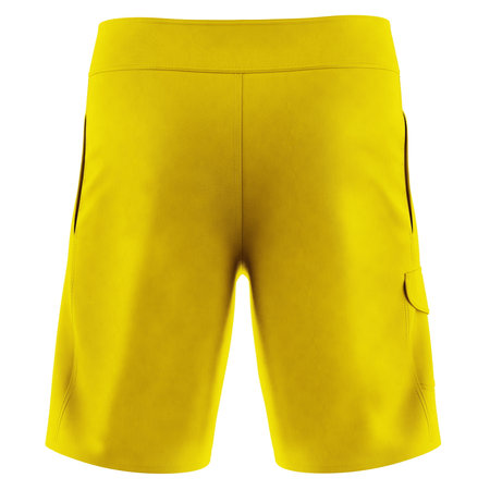 Paste your design into this Back View Fancy Mens Shorts Mock Up In Golden Kiwi Color, and everything will look real.の写真素材