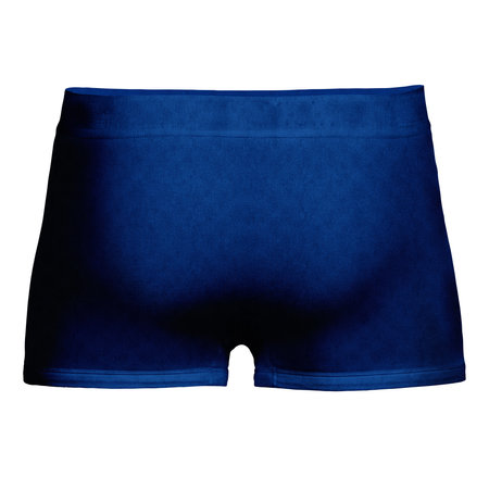 You Can Effortlessly Showcase Your Designs At Their Finest, With This Back View Artistic Photorealistic Boxer Shorts Mock Up In Baleine Blue Color.の写真素材