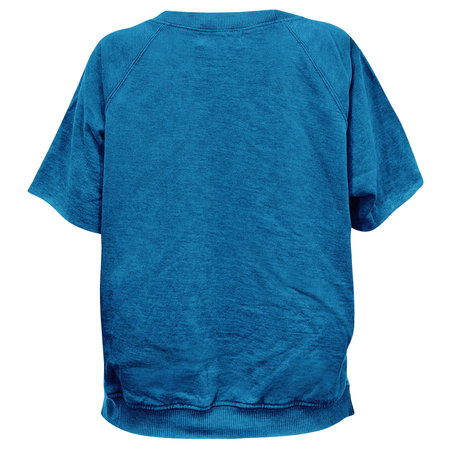 This Back View Attractive Short Sleeve T Shirt Mockup In Adriatic Blue Color Can Fully Customize To Meet Your Designの写真素材