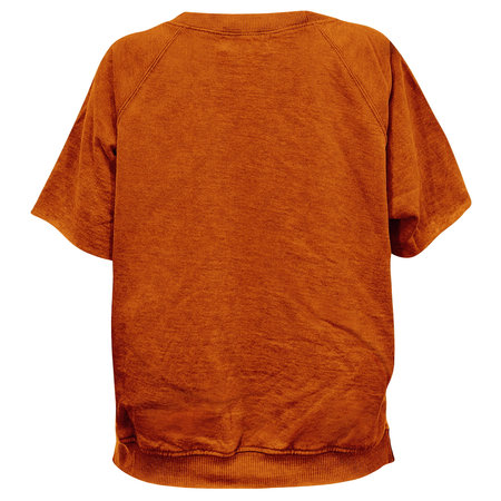 This Back View Attractive Short Sleeve T Shirt Mockup In Maple Brown Color Can Fully Customize To Meet Your Designの写真素材