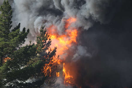 Abandoned Building Burning