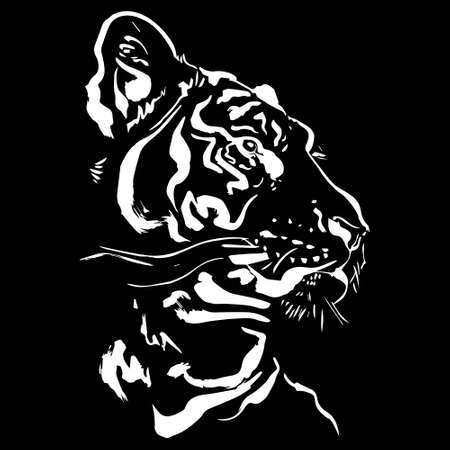 design elements of tiger vector illustrations. white tiger vector with black background.のイラスト素材