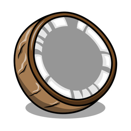 A half coconut. Realistic vector illustration isolated on white background.のイラスト素材