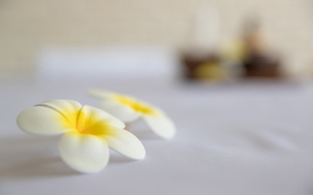 Closeup shot of Thai massaging stuffs herbal towel compress ball, coconut oil, perfume, cosmetics and plumeria flower in wooden tray placing on massage bed in spa therapy preparing for customer.の写真素材