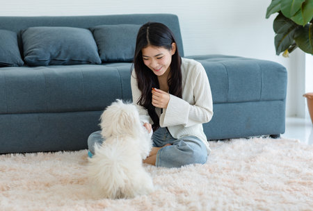 Asian young happy cheerful female owner sitting smiling on fluffy carpet floor using snack treat...