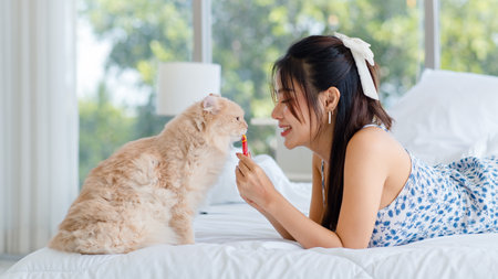 Asian young pretty cheerful female teenager girl in sexy dress laying lying down on white clean sheet blanket bed hold huging cute domestic orange long hair pet cat companion in bedroomの写真素材