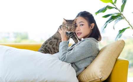 Asian young pretty cheerful female teenager girl in sweater laying lying down with pillows on cozy sofa couch smiling look at camera holding little cute domestic short hair tabby companion pet cat.の写真素材