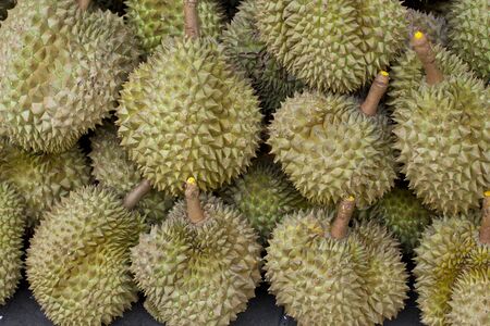Durian,delicious tropical fruit