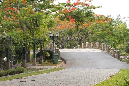 Bridge in the gardenの写真素材