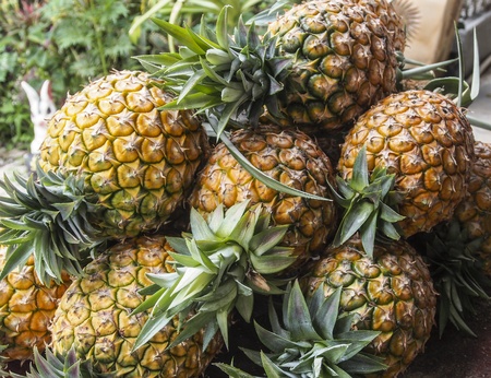 Pineapple