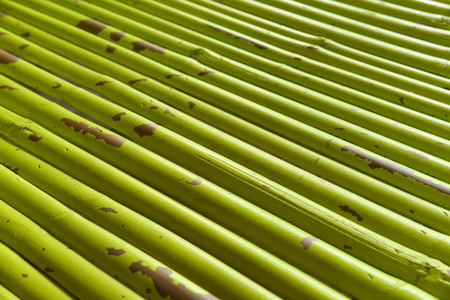 Green bamboo fence background