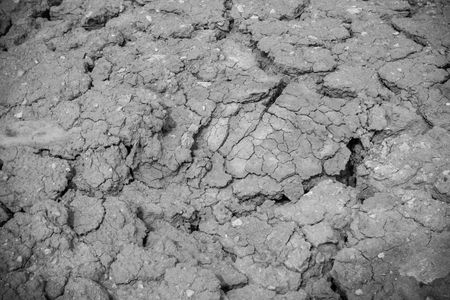 Dried and cracked earth background