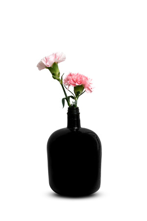 Two Carnation flower in Vase from bottleの写真素材