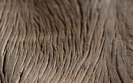 Wood Background and Depthの写真素材