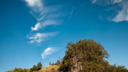 hilltops with trees and clear blue sky