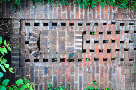 red brick walls that have been overgrown with wild plants