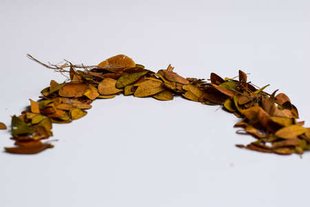 Concept Design background of Isolated Autumn Leaves - Place For Your Design, Textの写真素材