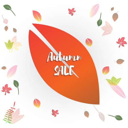 Hello Autumn Vector illustration. Fall sales design season. Thanksgiving Holiday decoration. Can be used for flyers, banners or postersのイラスト素材