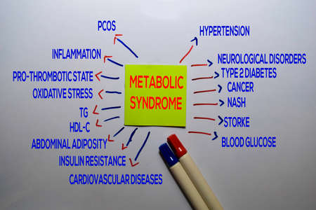 Metabolic Syndrome Method text with keywords isolated on white board background. Chart or mechanism...