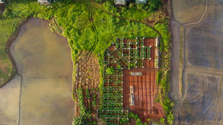along straight highway road in the middle of beautiful green tree forest. in the city of Bekasi, on...