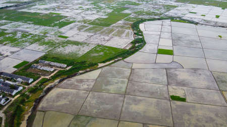 Aerial shot. Paddy field and Furrows row pattern in a plowed field prepared for planting crops in...