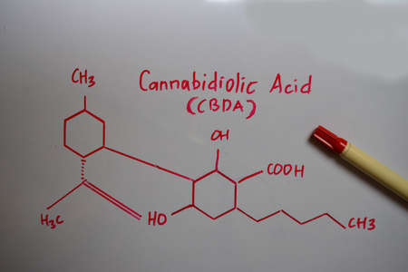Cannabidiolic Acid (CBDA) molecule written on the white board. Structural chemical formula. Education conceptの写真素材