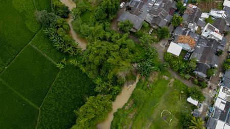 Aerial view beautiful terraced rice fields and residential, Tangerang, Indonesia
