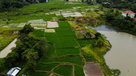 Aerial view beautiful green lake and surrounded by green grass