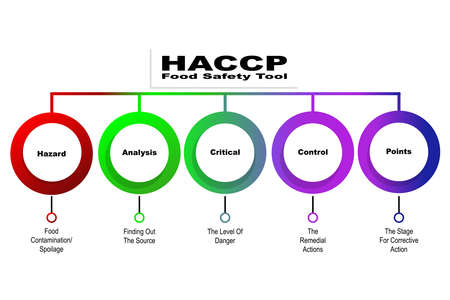 Diagram of HACCP - Food Safety Tool with keywords.のイラスト素材