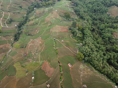 Aerial view of World heritage Panyaweuyan rice terraces in Majalengka with noise cloud. West Java. Majalengka, Indonesia, April 22, 2021のeditorial素材