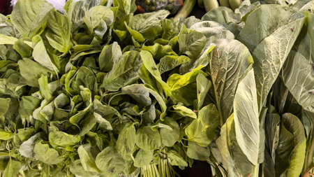 Close up of Raw Organic Fresh spinach and mustard greens at a traditional vegetable stallの写真素材