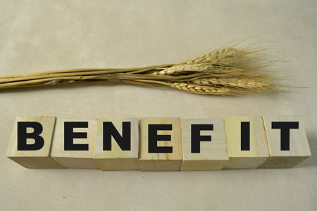 Concept of The wooden Cubes with the word Benefit on wooden background.の写真素材