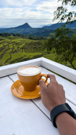 Coffee cup and mountain view in the morningの写真素材