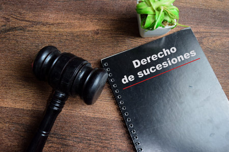 Concept of Law of succession in spanish write on book with gavel isolated on Wooden Table.