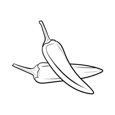 Fresh chilli pepper with hand drawing or sketch style. Sketch of vegetables isolated on white background. Simple line art. Vector Illustration Hand Drawn Vegetable Cartoon Art.のイラスト素材