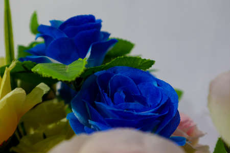 this is a flower used for decorationの写真素材