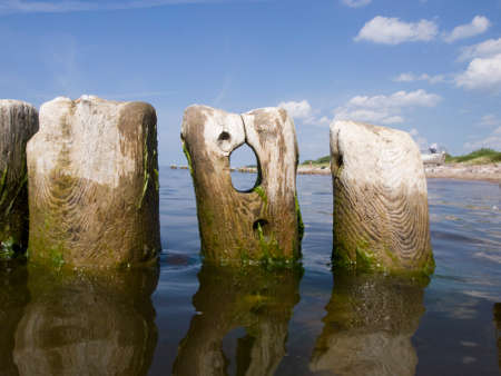 An old wooden breakwater full of holes.の写真素材
